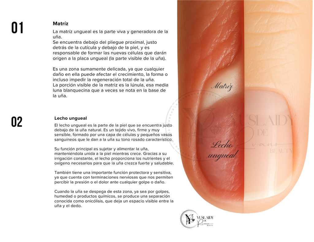 Manicura Perfecta